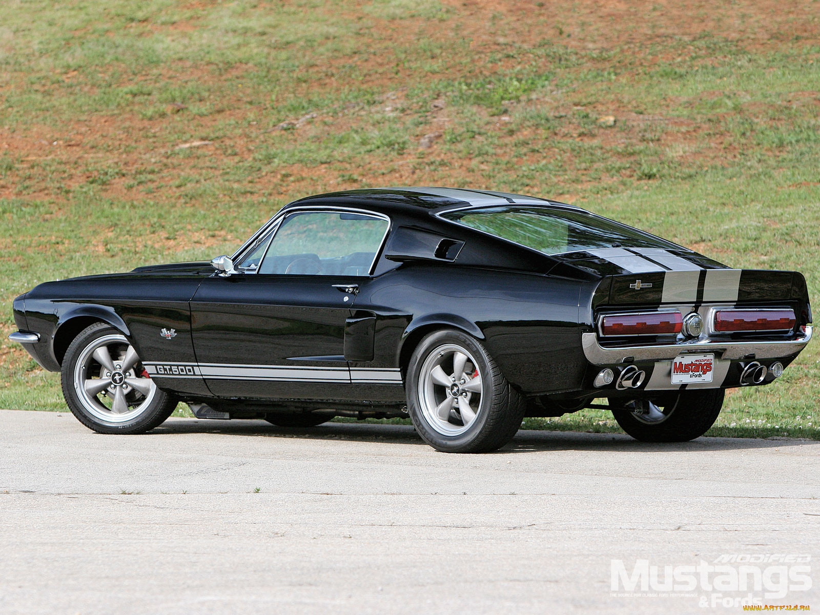 , mustang